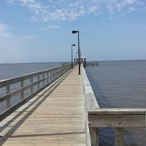 Meet your Posher, Paul